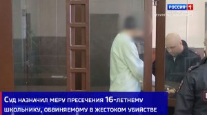 Суд назначил меру пресечения 16-летнему школьнику, обвиняемому в жестоком убийстве