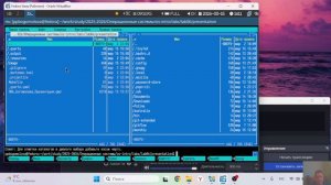 Презентация 6