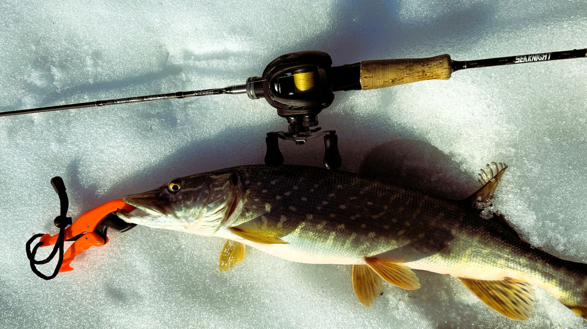 Кастинг. Микруха и джерки. 21.03.2026 🎣🐟