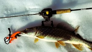 Кастинг. Микруха и джерки. 21.03.2026 🎣🐟