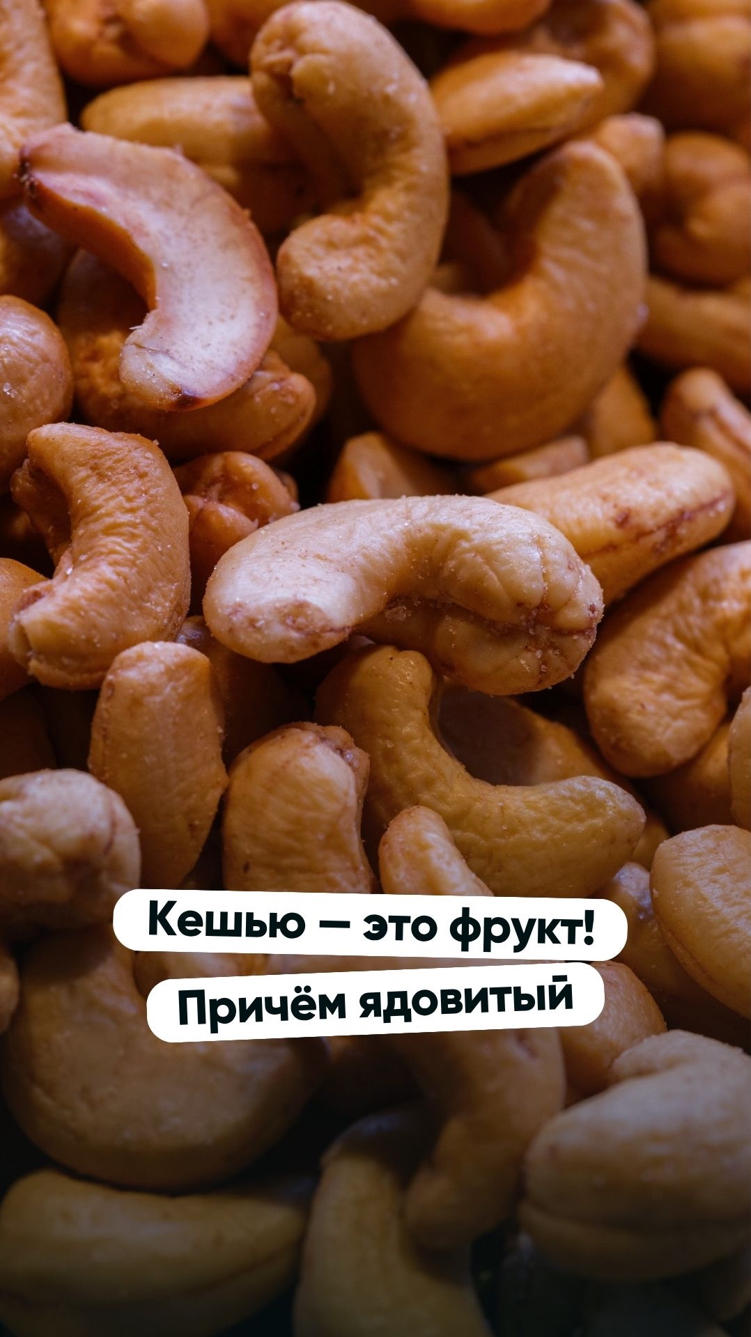 Кешью — это фрукт! Причём ядовитый