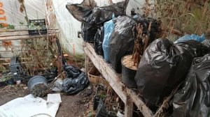 Внутренние биохимические часы растений. От теорий к практике.