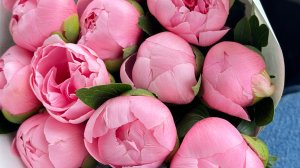 Как я справилась с тревожностью