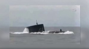 СТЕПНОЙ  КИТ  И  ПОДЛОДКА В ПЕСКАХ КАРАКУМА. СТРАСТЬ И ГЕОПОЛИТИКА