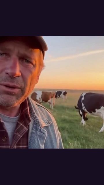 массовые протесты фермеров #мираторг #забойскота #фермерыроссии #пастерелез #распоряжение