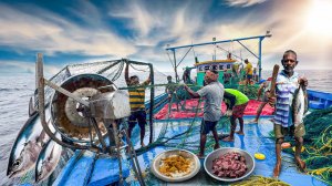 На восьмой день нашего пребывания в открытом море мы поймали много рыбы