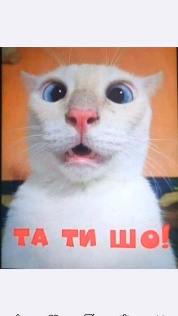 смех смех смех!