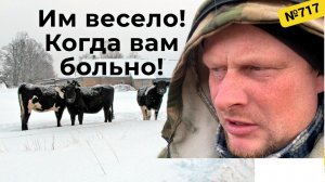 Почему некоторые радуются, когда другим плохо. Жизнь и будни в Омской деревне.