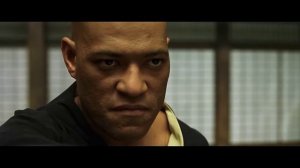 Мартица бой