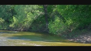 РЫБАЛКА В НИЖЕГОРОДСКОЙ ОБЛАСТИ