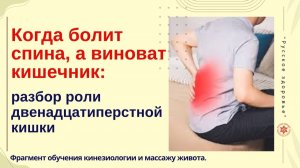 Когда болит спина, а виноват кишечник: разбор роли двенадцатиперстной кишки. Фрагмент обучения