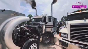 Черный братишка на Kenworth W900