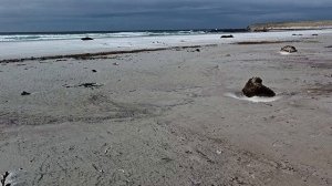 Фолкле́ндские острова́ (Falkland Islands) — архипелаг у побережья Аргентины