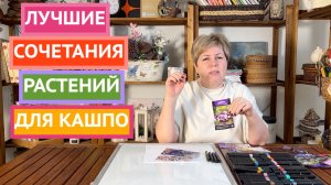 Лучшие сочетания растений для высадки в кашпо и контейнеры!