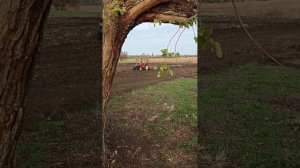 Переезд на Юг.