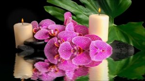 Как воскресенье превращает мечты в реальность.