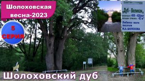 №482. 5 серия, фестиваль "Шолоховская весна - 2023".