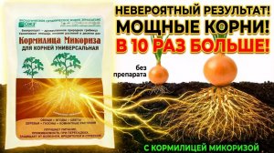 Внимание всем огородникам и садоводам на пороге нового сезона! Кормилица Микориза!