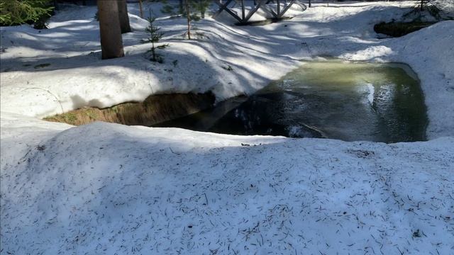 Новости с пруда.Планы на ремонт