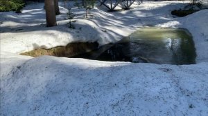 Новости с пруда.Планы на ремонт