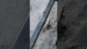 Прицеп Спутник Prо Plus 48см борт обзор Декабрь 2021г [get.gt].mp4