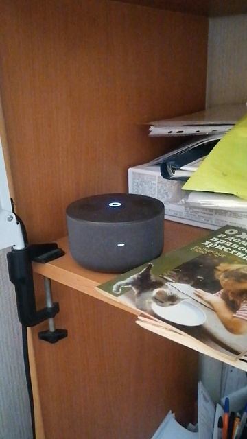 Болтовня с алисой