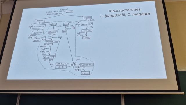 Микробиология (ПМФ). Лекция №5. Лавренова В.Н. 21.03.2026