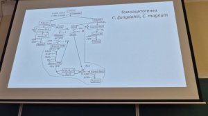 Микробиология (ПМФ). Лекция №5. Лавренова В.Н. 21.03.2026