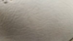 Чтобы удалить грызуны с функцией дарения