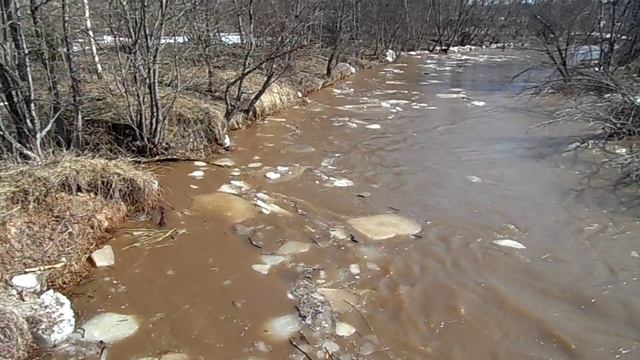 SAM_0285На Добше реке.