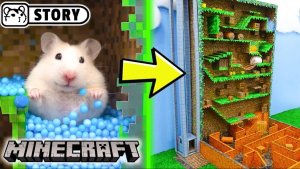 Minecraft лабиринт!🐹Хомяки Пикси и Хомура бегают на время по полосе препятствий Майнкрафта