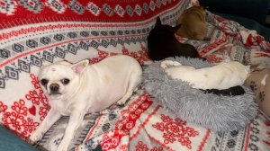 Всем наидобрейшего вечера и самой спокойной ночи!