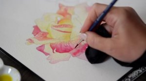 Что вы видите и что вы рисуете.