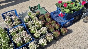 Я ПО ЯРМАРКЕ ГУЛЯЛА...СРАВНИМ ЦЕНЫ 🥰