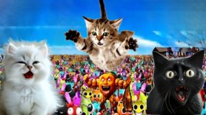 ЗИМНИЕ ПРИКЛЮЧЕНИЯ МОИХ КОШЕК И МОНСТРОВ. Подряд 6 видео.