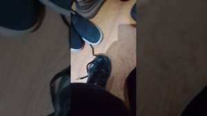 как научится завязывать шнурки