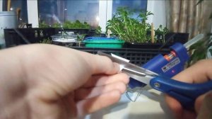 Мастер класс по изготовлению мини ванночки