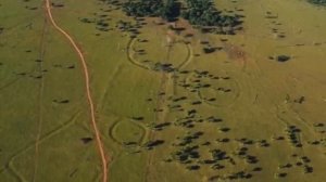 Находки в тропических джунглях Амазонии которые шокировали ученых, мурашки по коже