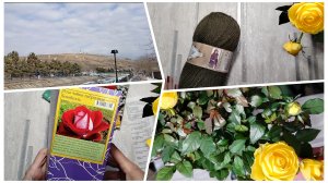 Я опять набралась😆 Махнёмся не глядя😜