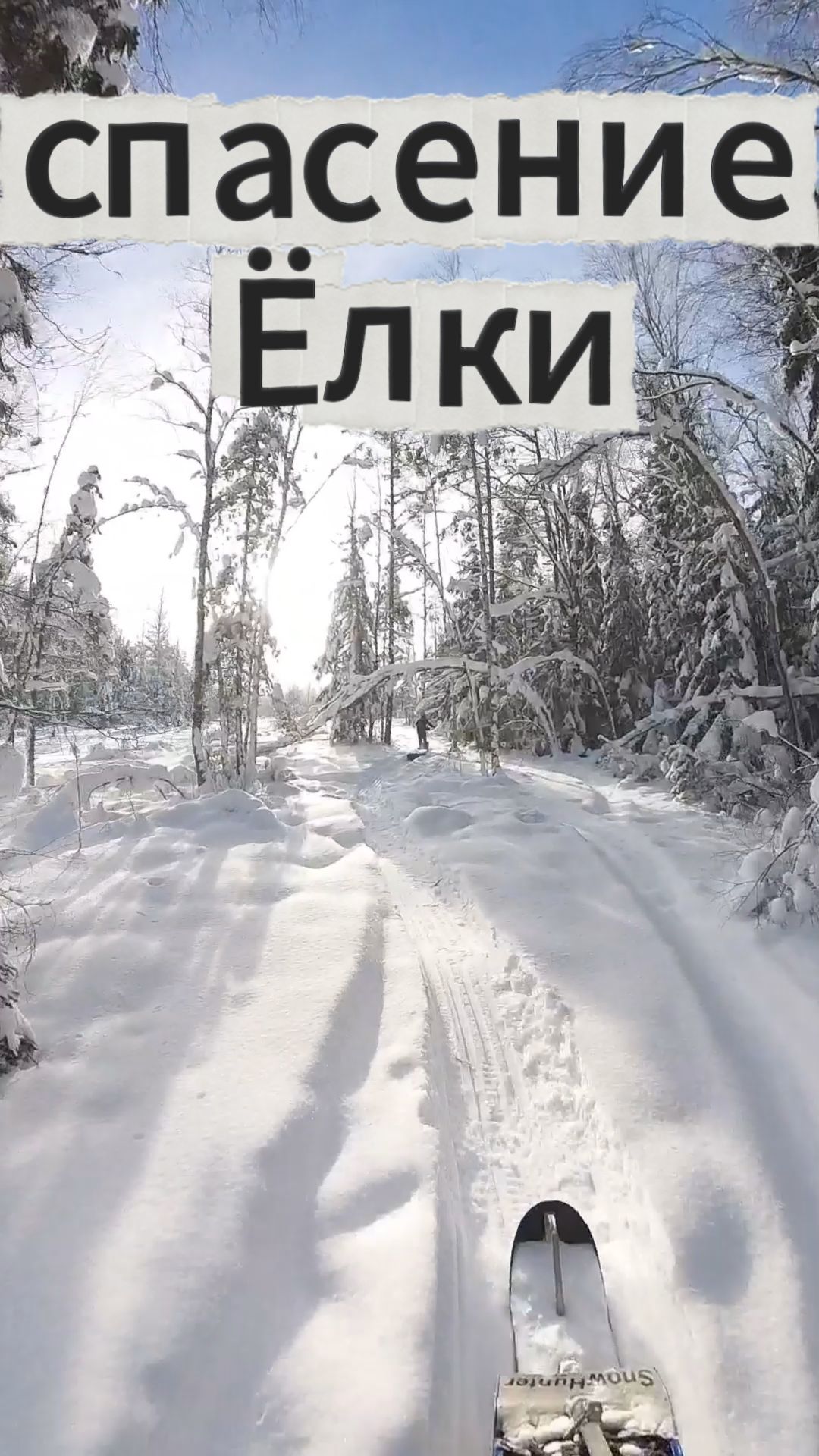 спасение Ёлки