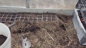 Мои первые работы в теплице.