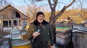 ОСМОТР  ПЧЕЛ ВЕСНОЙ и  температура воздуха