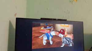 По просьбам зрителей распаковка и первый запуск Pets Cats 2 ч.2