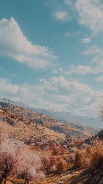 НАВРУЗ ИДЁТ... (А.В)