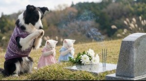 Котята чтят память о близких, а потом вместе проводят прекрасный день 🐱🙏🌸