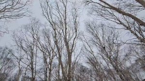 Всё пошло не по плану. Димончик наш сел 👏👏👏