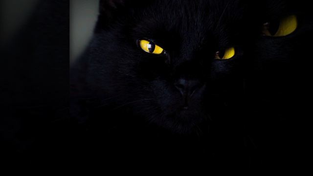 стремление жить напоказ