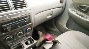 Коврики такто старые уже