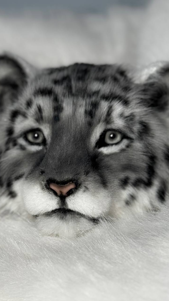 Как вам результат?)