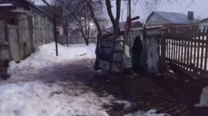 как выжить на улице в шалаше